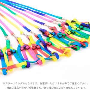 ハーネス リード 2点セット 犬 いぬ イヌ ...の詳細画像2