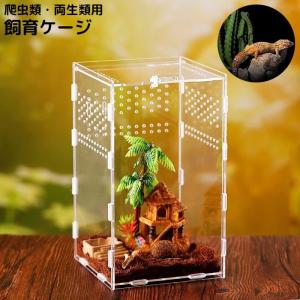 飼育ケージ 飼育ケース 爬虫類 両生類 昆虫 小...の商品画像