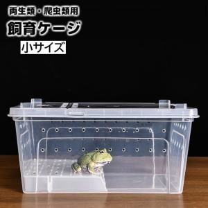 飼育ケージ 飼育ケース 両生類用 爬虫類用 クリアケース プラケース 透明 カメ 亀 カエル 水槽 浮島 日向ぼっこ台 テラス 陸地 長方形 シンプル