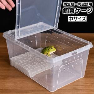 飼育ケージ 飼育ケース 両生類用 爬虫類用 クリ...の商品画像