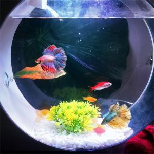 人工水草 水槽レイアウト 人工プランツ アクア...の詳細画像1