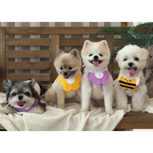 ペット用スタイ よだれかけ 犬用 猫用 つけ襟...の詳細画像1