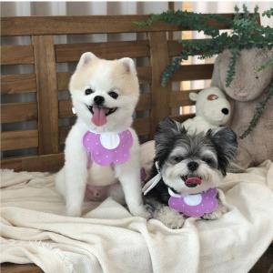 ペット用スタイ よだれかけ 犬用 猫用 つけ襟...の詳細画像4