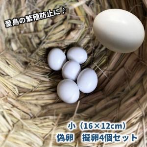 偽卵 擬卵 4個セット 12 16mm ダミー卵 フェイク卵 小鳥 愛鳥 セキセイインコ 繁殖抑制 長寿 抱卵 個体数管理 フェイクバードエッグ カナ