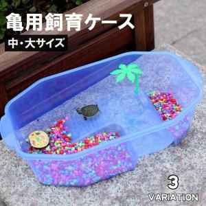 カメ専用飼育ケース　5個セット　中サイズ 亀用飼育ケース 中サイズ 大サイズ ペット用品 カメ 水槽 飼育ケージ