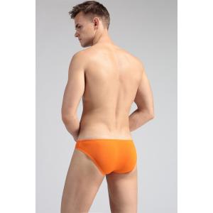 ビキニブリーフ ブリーフパンツ メンズ 男性用...の詳細画像1