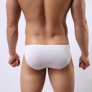 ビキニブリーフ ブリーフパンツ メンズ 男性用...の詳細画像4