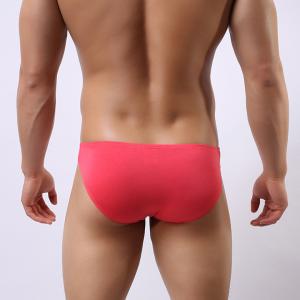 ビキニブリーフ ブリーフパンツ メンズ 男性用...の詳細画像5