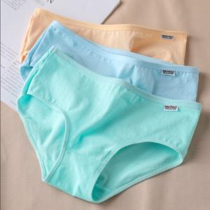 スタンダードショーツ レディース 女性用下着 ...の詳細画像3
