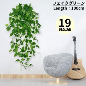 壁に掛けれる 観葉植物 光触媒加工 アイビー クレマチス ビーンバイン