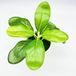 フェイクグリーン 人口観葉植物 造花 鉢植え ...の詳細画像2