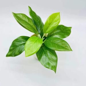 フェイクグリーン 人口観葉植物 造花 鉢植え ...の詳細画像4