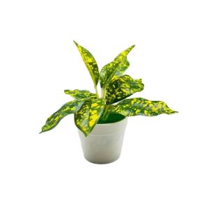 フェイクグリーン 人口観葉植物 造花 鉢植え ...の詳細画像5