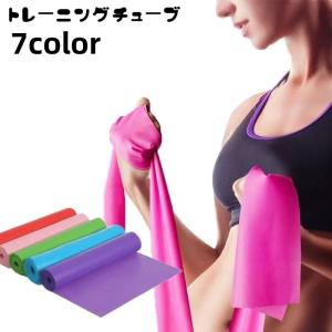トレーニングチューブ ゴムバンド エクササイズバ...の商品画像
