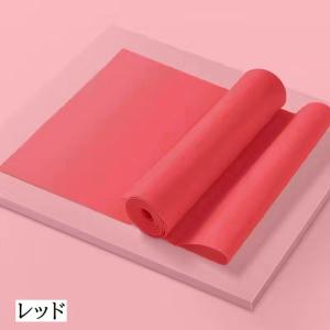 トレーニングチューブ ゴムバンド エクササイズ...の詳細画像4