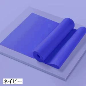 トレーニングチューブ ゴムバンド エクササイズ...の詳細画像5