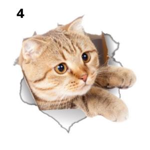 ウォールステッカー 壁紙シール 猫 ネコ イベ...の詳細画像4