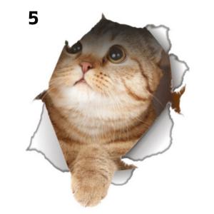 ウォールステッカー 壁紙シール 猫 ネコ イベ...の詳細画像5