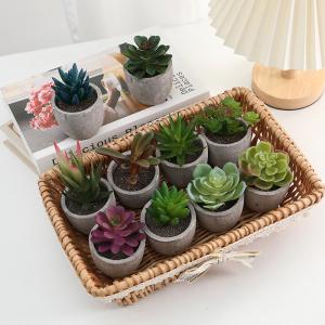 フェイクグリーン 人工観葉植物 多肉植物 鉢植...の詳細画像1