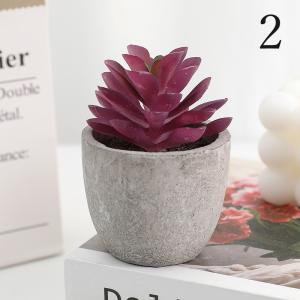 フェイクグリーン 人工観葉植物 多肉植物 鉢植...の詳細画像5
