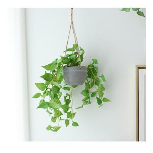フェイクグリーン 人工観葉植物 観葉植物 造花...の詳細画像1