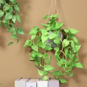 フェイクグリーン 人工観葉植物 観葉植物 造花...の詳細画像3