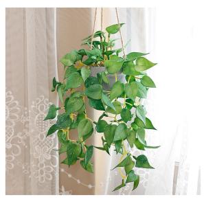 フェイクグリーン 人工観葉植物 観葉植物 造花...の詳細画像4