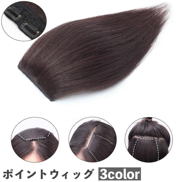 ポイントウィッグ 部分ウィッグ 部分かつら つけ毛 前髪 横髪 サイド トップ レディース 女性 ボ...