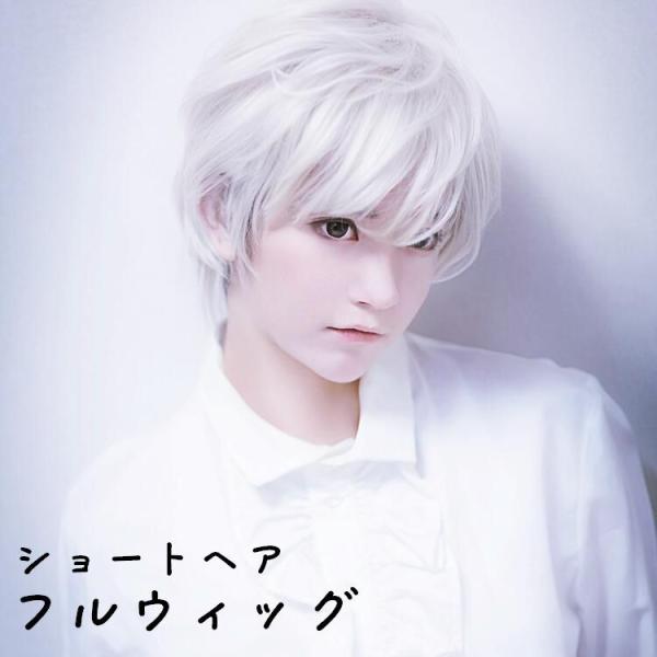 フルウィッグ ショートウィッグ レディース メンズ 男女兼用 短髪 かつら シルバーホワイト 白銀 ...