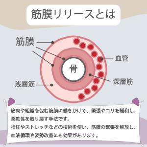 ヨガポール ストレッチローラー ヨガポール 直...の詳細画像3