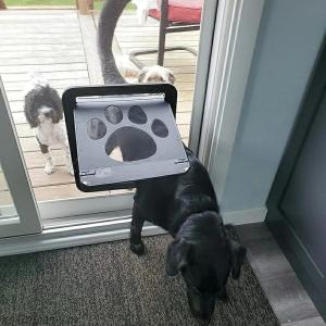 網戸専用 ペットドア 犬 猫 出入り口 ロック...の詳細画像3