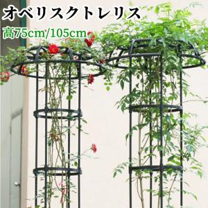 エクステリア ブランティーク ホワイトアイアントレリスH147 2枚組 420