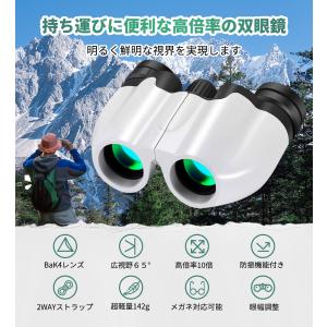 双眼鏡 10倍 ライブ用 コンサート 防振双眼...の詳細画像1