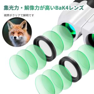 双眼鏡 10倍 ライブ用 コンサート 防振双眼...の詳細画像2