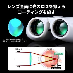 双眼鏡 10倍 ライブ用 コンサート 防振双眼...の詳細画像3