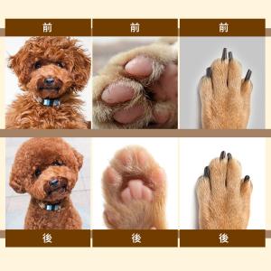 ペットバリカン 犬用 バリカン 猫 4in1 ...の詳細画像3
