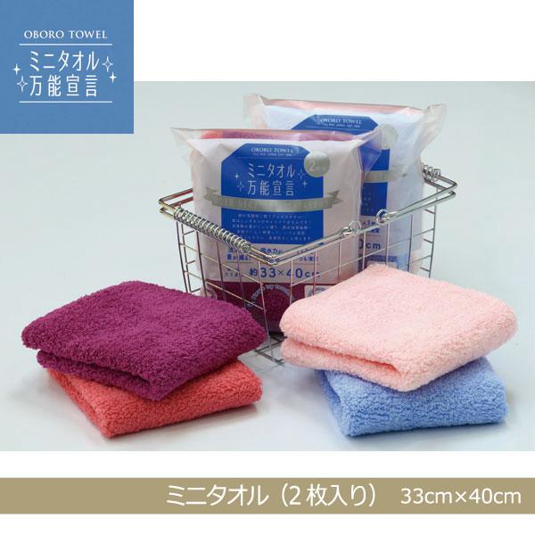 【おぼろタオル】☆ミニタオル万能宣言☆洗顔・お手拭き、１人１枚マイタオル（２枚セット）