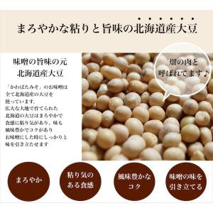 米麹2倍配合の減塩甘口白みそ 500g 少量 ...の詳細画像3