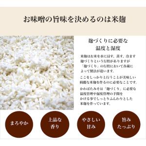 米麹2倍配合の減塩甘口白みそ 500g 少量 ...の詳細画像4