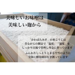 米麹2倍配合の減塩甘口白みそ 500g 少量 ...の詳細画像5