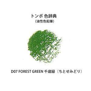 トンボ 色辞典 単色 D07 FOREST GREEN 千歳緑 (ちとせみどり)