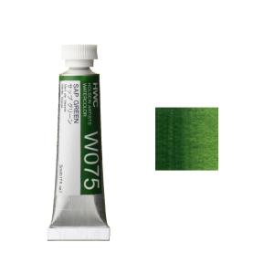 ホルベイン HWC 透明水彩絵具 2号 B 緑系 サップグリーン
