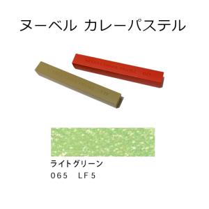 ヌーベル カレーパステル 普通色 ライトグリーン 065