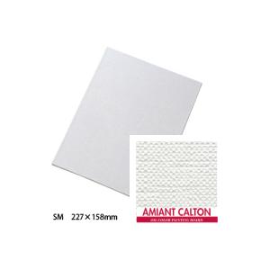 キャンバスボード アミアントカルトン (油彩用) SM 油絵