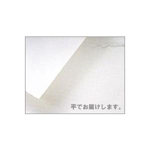 アルシュ水彩紙 並口185g 5枚 細目 560x760mm P カワチ画材ヤフー店 通販 Yahoo ショッピング