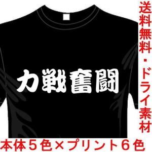 漢字おもしろTシャツ (5×6色) 百戦錬磨Tシャツ 四文字熟語 ユニークな