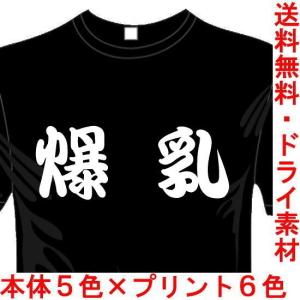 漢字おもしろTシャツ (5×6色) 爆乳Tシャツ ユニークなメッセージてぃしゃつ 送料無料 河内國製作所