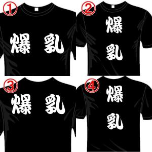 漢字おもしろTシャツ (5×6色) 爆乳Tシャ...の詳細画像1