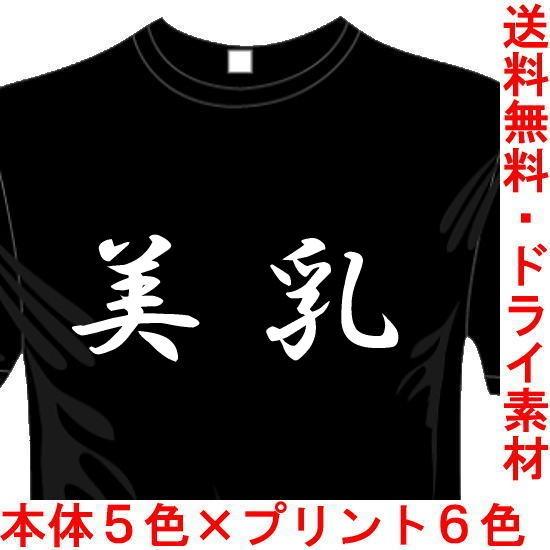 漢字おもしろTシャツ (5×6色) 美乳Tシャツ ユニークなメッセージてぃしゃつ 送料無料 河内國製...