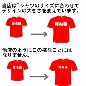 ラグビードライTシャツ (5×6色) 日本代表...の詳細画像3